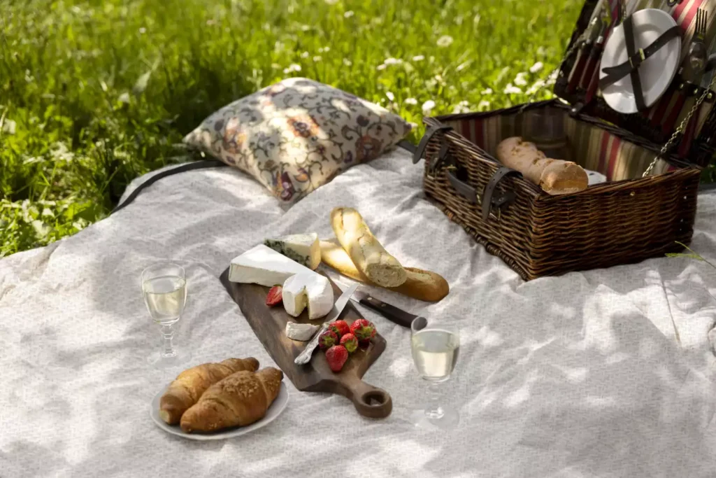 outdoor blanket picnic