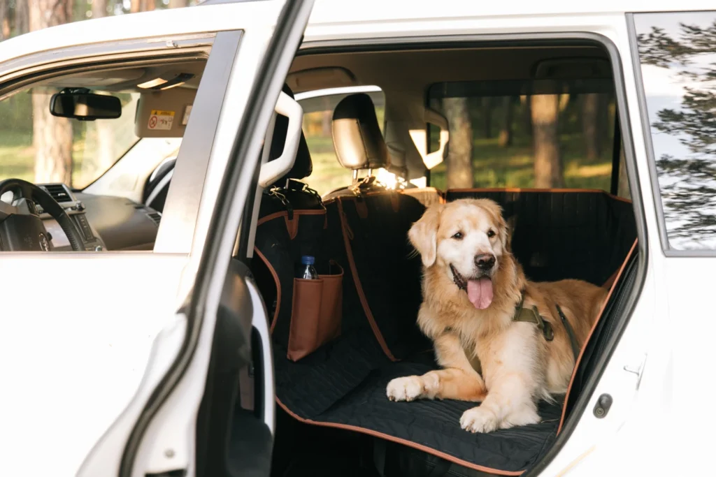 Norwegian Elkhounds Dog Safety Belt for Kia Sportage