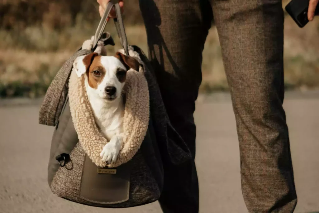 Dog Carrier Purse for Finnish Spitz