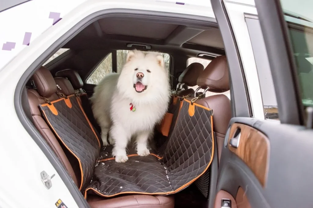 Kia Soul Back Seat Cover for Fox Terriers