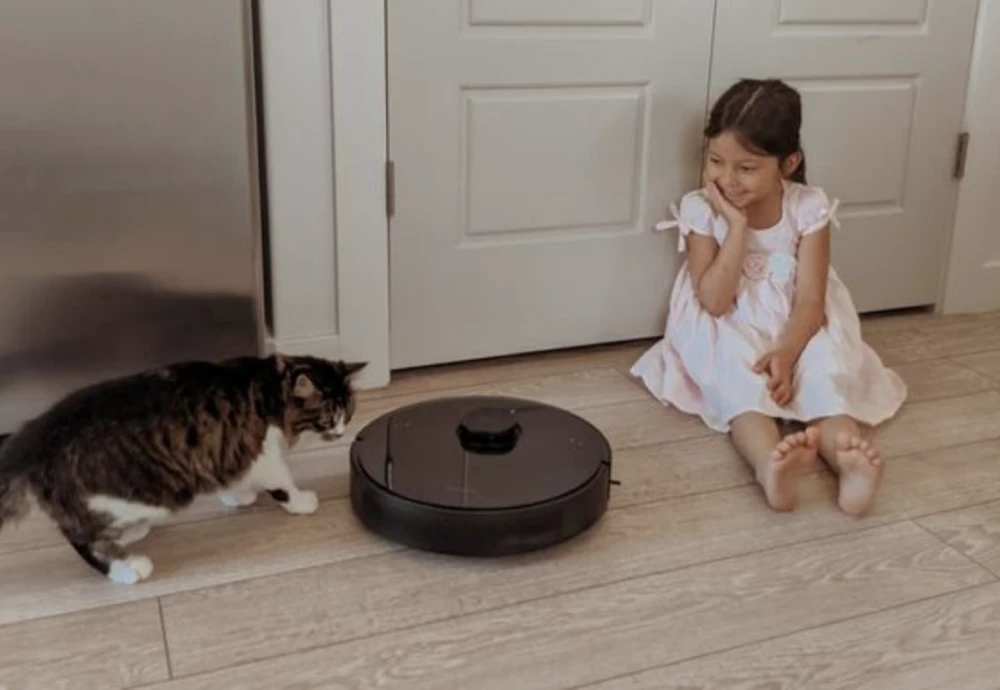 cleaning robot vacuum and mop