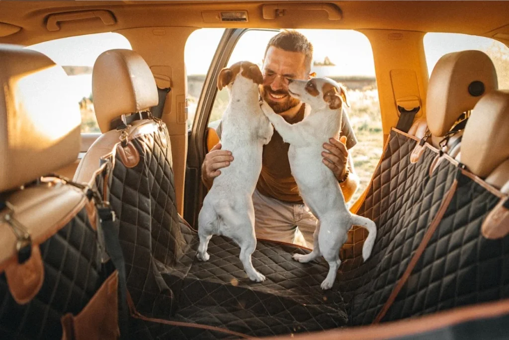 Kia Soul Back Seat Cover for Fox Terriers